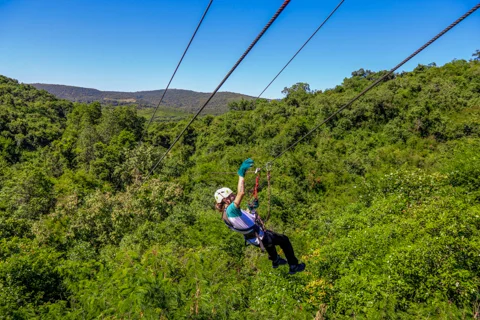 Aerial Cable Trail | Skyway Trials