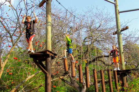 Rope Adventure Park | Skyway Trials