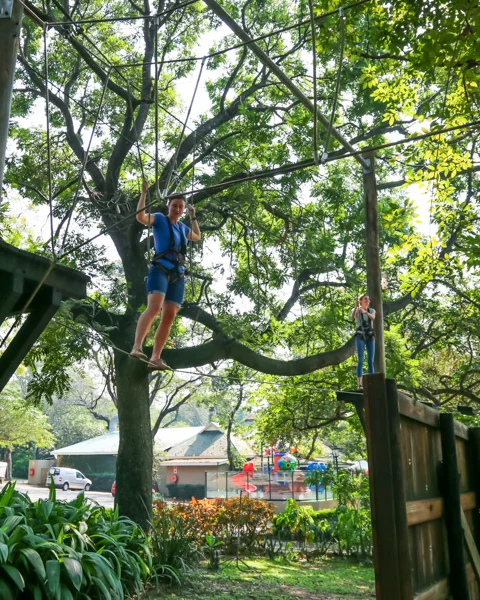 Rope Adventure Park | Skyway Trials